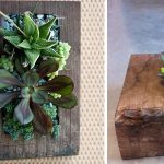 make your terrarium a success